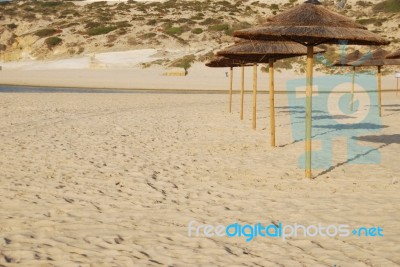 Beach Scene With Coconuts Area Stock Photo