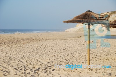 Beach Scene With Coconuts Area Stock Photo