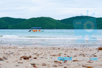 Beach Stones Background  Stock Photo