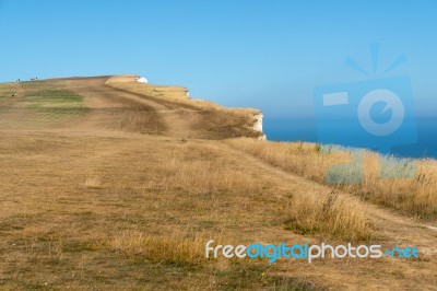 Beachey Head, Sussex/uk - July 23 : Where The South Downs Mee Th… Stock Photo