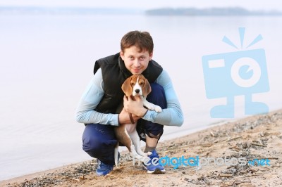 Beagle Dog With Its Owner Stock Photo