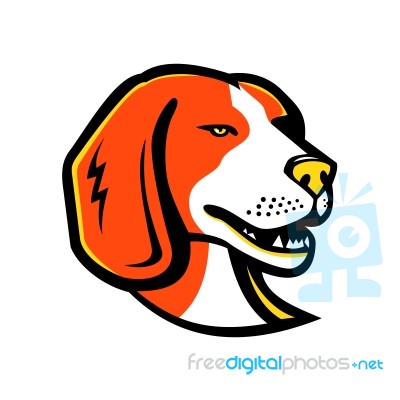 Beagle Hound Dog Mascot Stock Image