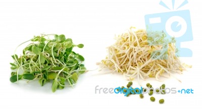 Bean Sprouts Isolated On White Background Stock Photo