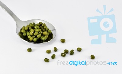 Beans Stock Photo