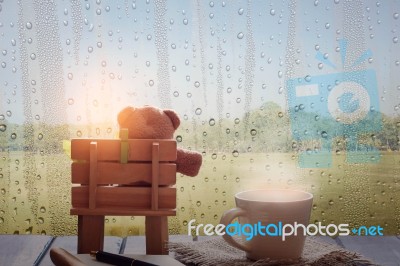 Bear On Chair With A Glass At The Rain Stock Photo