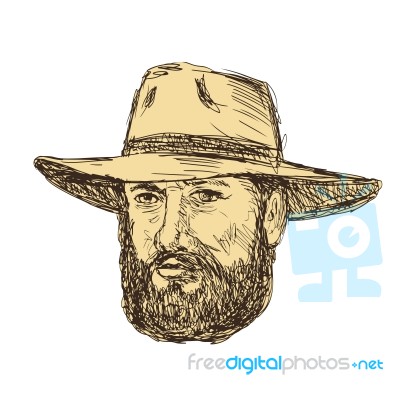 Bearded Cowboy Head Drawing Stock Image