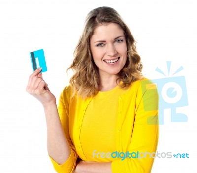 Beautiful American Lady Ready To Shop Stock Photo