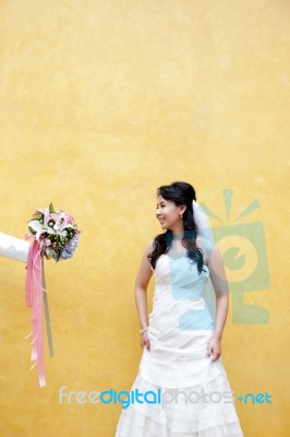 Beautiful Asian Bride Stock Photo