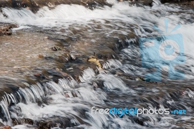 Beautiful Background With A Creek Stock Photo