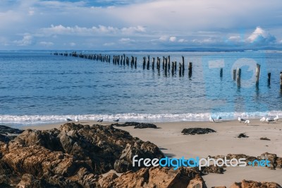 Beautiful Beach At Bridport, Tasmania, Australia Stock Photo