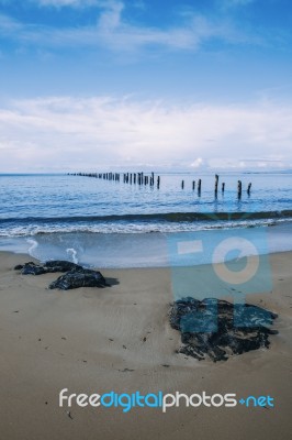 Beautiful Beach At Bridport, Tasmania, Australia Stock Photo