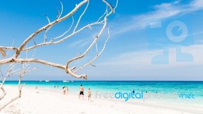 Beautiful  Beach At Ta Chai Island, Phang Nga Thailand Stock Photo