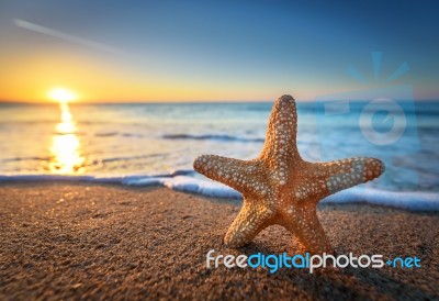 Beautiful Beach With Sunrise Background. Focus On Sea Starfish Stock Photo