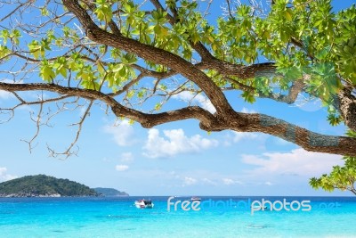 Beautiful Blue Sea At Koh Miang In Mu Koh Similan, Thailand Stock Photo