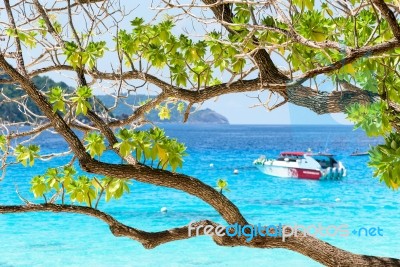 Beautiful Blue Sea At Koh Miang In Mu Koh Similan, Thailand Stock Photo