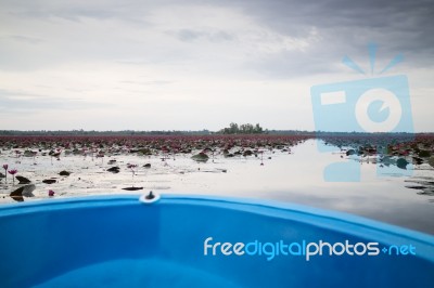 Beautiful Cloudy Sky At Lotus Lake Stock Photo