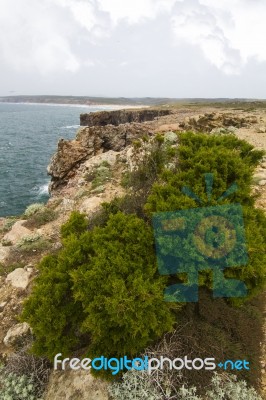 Beautiful Coastline Of Sagres Stock Photo