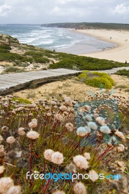 Beautiful Coastline Of Sagres Stock Photo