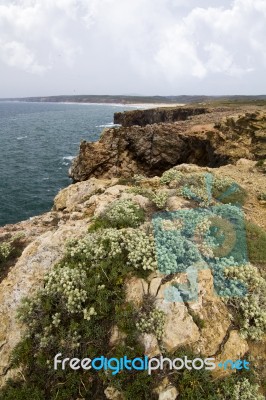 Beautiful Coastline Of Sagres Stock Photo