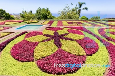 Beautiful Colorful Patterns And Shapes In Botanical Garden Stock Photo