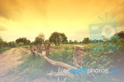 Beautiful Countryside Landscape Background,colors Dramatic Stock Photo