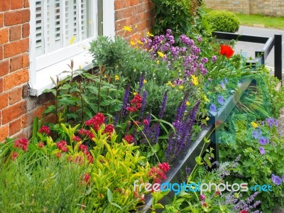 Beautiful Flowers In A Garden In Southwold Stock Photo