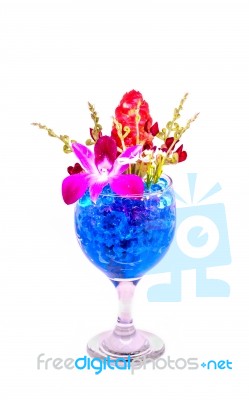 Beautiful Flowers In Wine Glass With Hydrogel Isolated On White Stock Photo