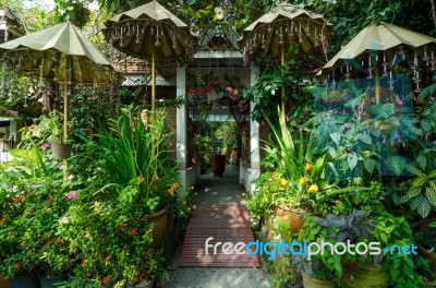 Beautiful Garden Entrance Stock Photo