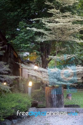 Beautiful Garden With Warm Light Stock Photo