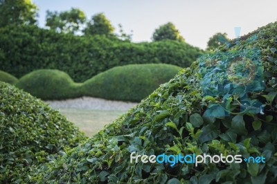 Beautiful Gardens In Ipswich City, Queensland Stock Photo