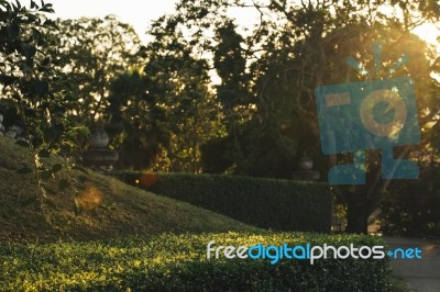 Beautiful Gardens In Ipswich City, Queensland Stock Photo