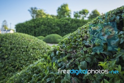 Beautiful Gardens In Ipswich City, Queensland Stock Photo