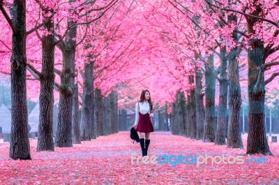 Beautiful Girl With Pink Leaves In Nami Island, South Korea Stock Photo