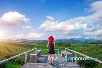 Beautiful Girl With Red Hat In Green Tea Mountain Stock Photo