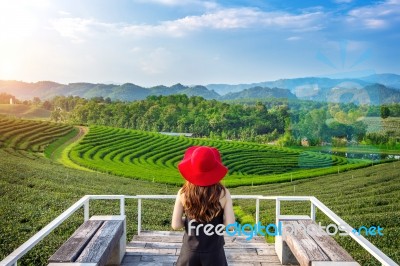 Beautiful Girl With Red Hat In Green Tea Mountain Stock Photo