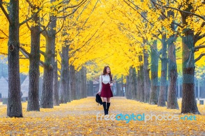 Beautiful Girl With Yellow Leaves In Nami Island, Korea. Nami Island In Autumn Stock Photo