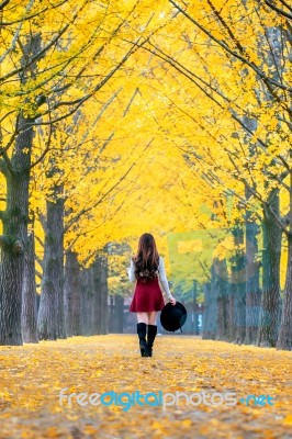 Beautiful Girl With Yellow Leaves In Nami Island, Korea. Nami Island In Autumn Stock Photo