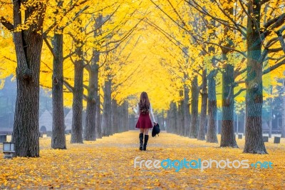 Beautiful Girl With Yellow Leaves In Nami Island, Korea. Nami Island In Autumn Stock Photo