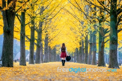 Beautiful Girl With Yellow Leaves In Nami Island, Korea. Nami Island In Autumn Stock Photo