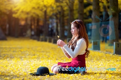 Beautiful Girl With Yellow Leaves In Nami Island, Korea. Nami Island In Autumn Stock Photo