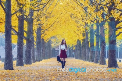 Beautiful Girl With Yellow Leaves In Nami Island, Korea. Vintage Tone Style Stock Photo