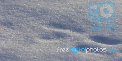 Beautiful Isoalted Photo Of A Sunny White Snow With The Footprints Stock Photo