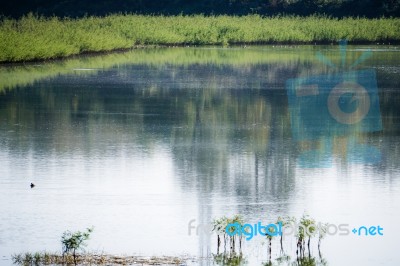 Beautiful Lake Background Stock Photo