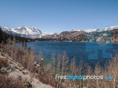 Beautiful Lake, Snow Mountain And Pine Tree Stock Photo