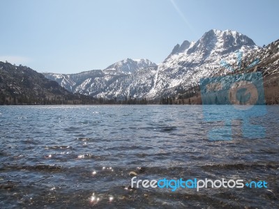 Beautiful Lake, Snow Mountain And Pine Tree Stock Photo