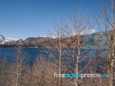 Beautiful Lake, Snow Mountain And Pine Tree Stock Photo