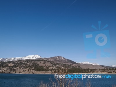 Beautiful Lake, Snow Mountain And Pine Tree Stock Photo