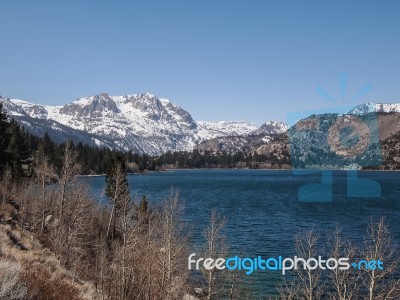 Beautiful Lake, Snow Mountain And Pine Tree Stock Photo