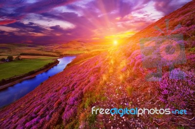 Beautiful Landscape Of Scottish Nature Stock Photo