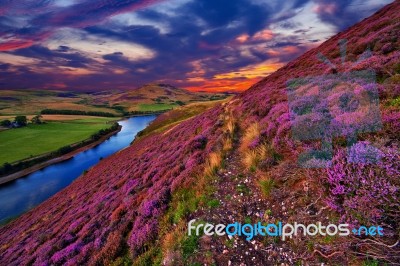 Beautiful Landscape Of Scottish Nature Stock Photo